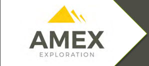 Amex-Logo